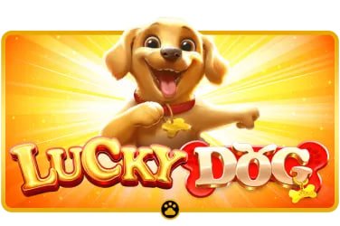 ANC33 Live Casino meja Baccarat dengan dealer profesional siaran langsung HD